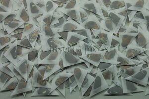 :::BULK SALE:::: Heliconius sp. A1  MIXED SPECIMENS